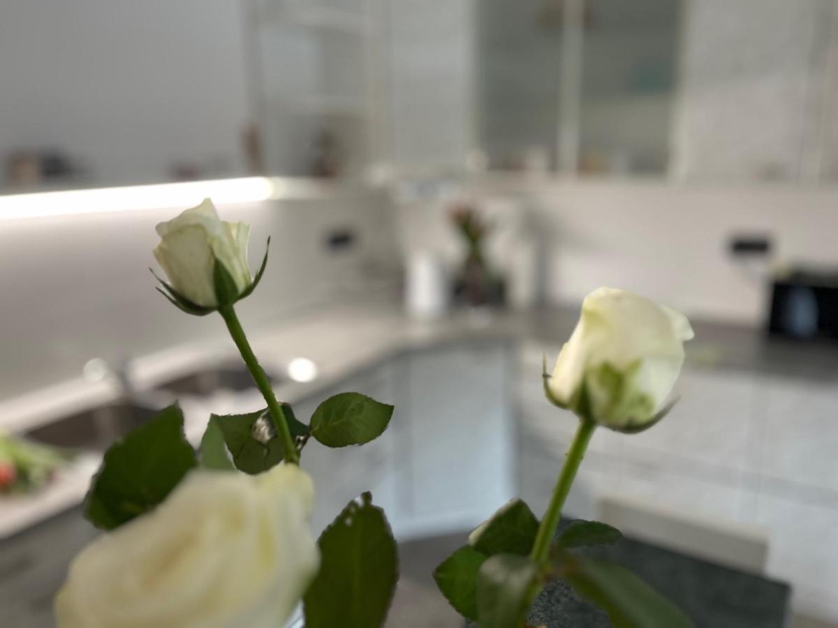 Apartma Ksela Mala Nedelja Eksteriør bilde